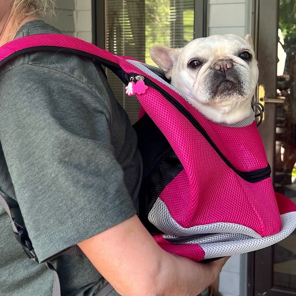 Dog carrier NWOT - Picture 8 of 9